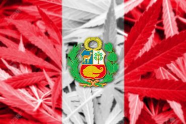 Peru approves the medicinal use of cannabis