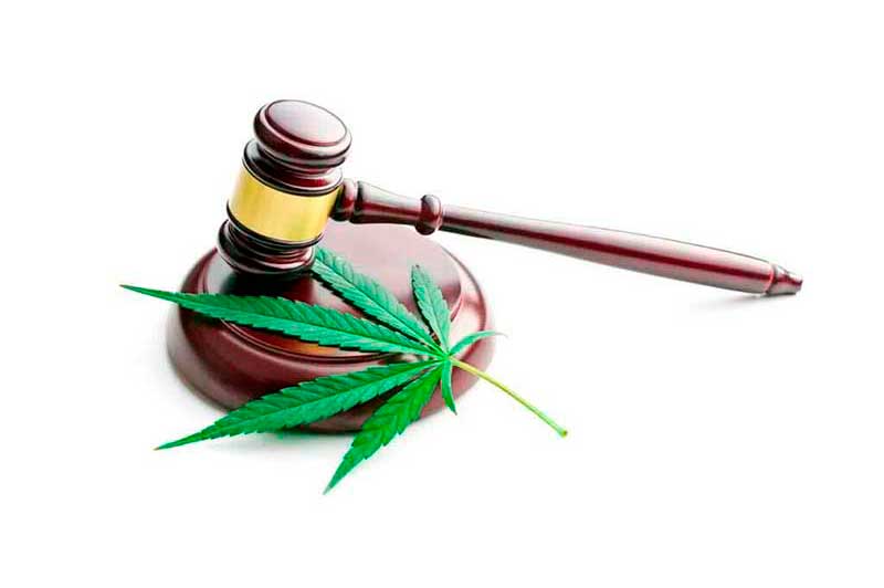 ¿Legalizar el cannabis o seguir prohibiéndolo?