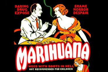 Cannabis, another story of human hypocrisy