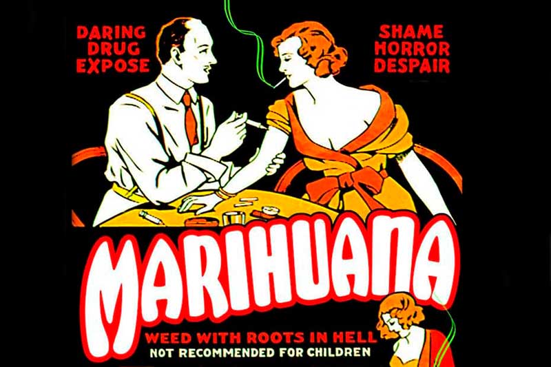 Cannabis una historia más de la hipocresía humana