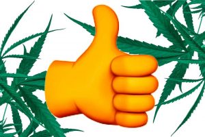 Reglamentar el cannabis o seguir prohibiéndolo