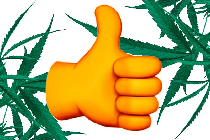 ¿Reglamentar el cannabis o seguir prohibiéndolo?