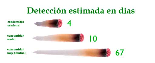 Tiempo de permanencia del cannabis en la saliva