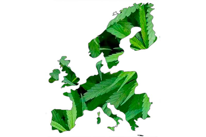 Datos sobre el mercado del cannabis en Europa