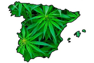 Nuevos datos sobre consumo de cannabis en España