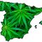 Nuevos datos sobre consumo de cannabis en España