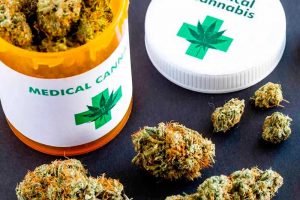 la marihuana 'light' en su versión natural aún no está regulada