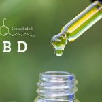 Adquirir productos elaborados con cannabidiol como: Aceites de CBD, cremas, o flores, se ha convertido en una tendencia en nuestro país