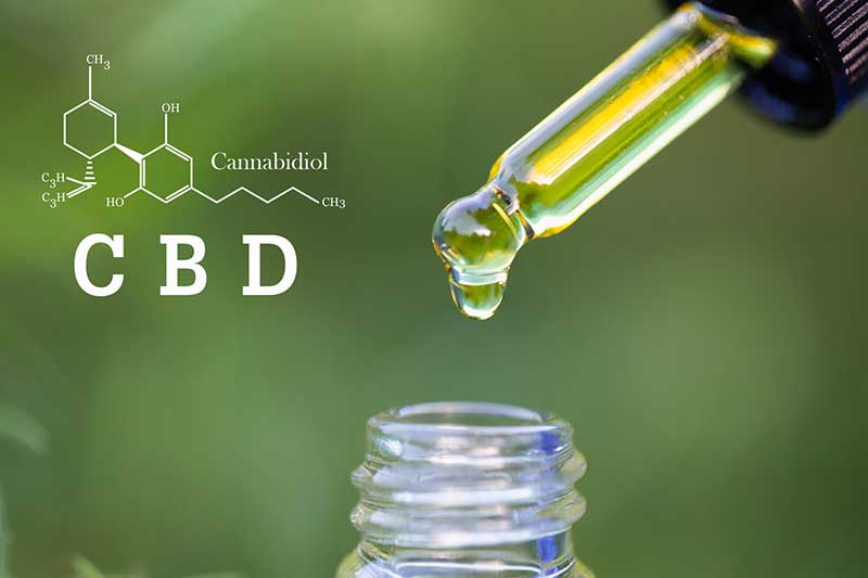 The CBD oil craze sweeping Spain