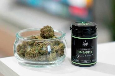 El futuro del cannabis light en Europa