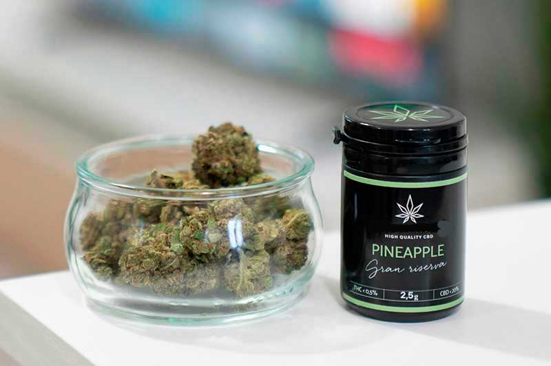 El futuro del cannabis light en Europa