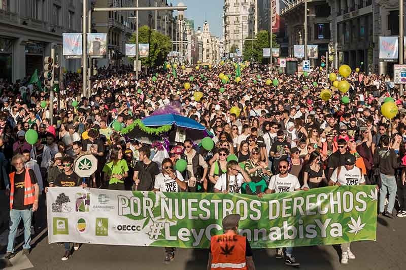 Eventos y publicaciones en pro la normalización del cannabis en España