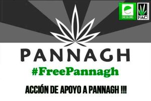 Pannagh una de las asociaciones de usuarios de cannabis pioneras en España